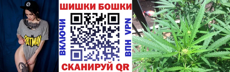 дарнет шоп  omg маркетплейс  Бошки марихуана семена  Устюжна 
